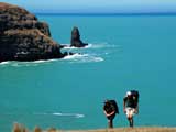 walkers on Banks Peninsula Track